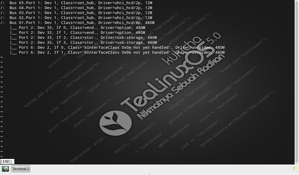 Список usb linux. Linux on USB' persistebt