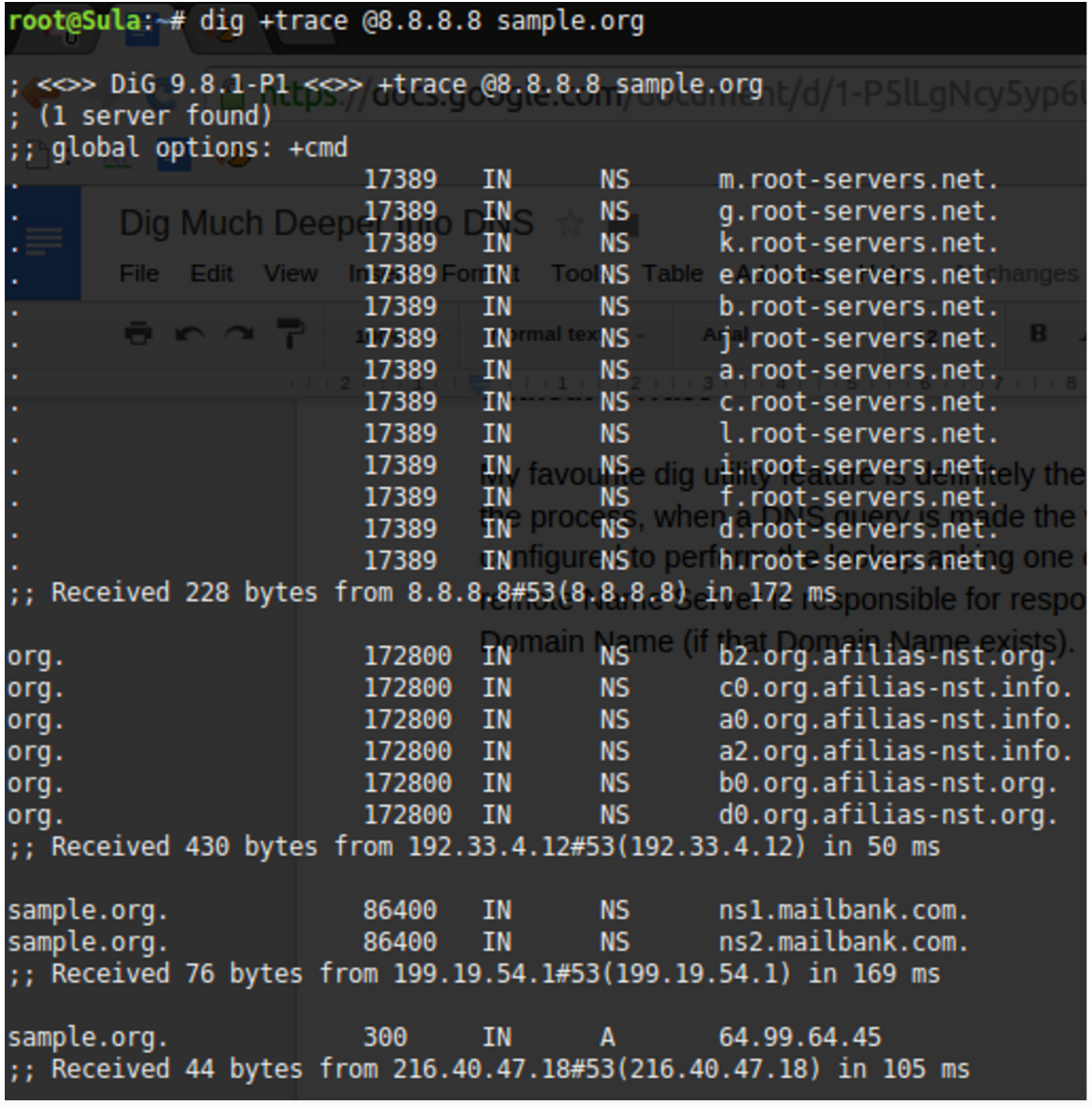 Hacking Dns Lookup With Dig