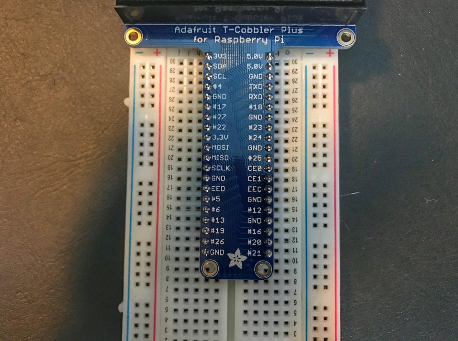 Assembled Pi Cobbler Plus - Breakout Cable