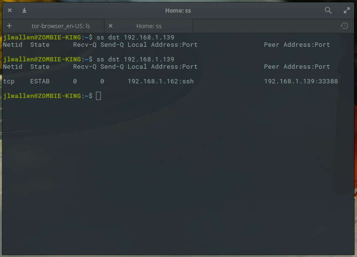 An Introduction To The Ss Command Linux Com