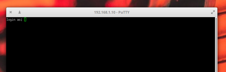 PuTTY  Flathub