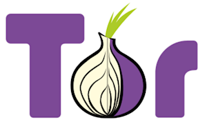 tor onion pi