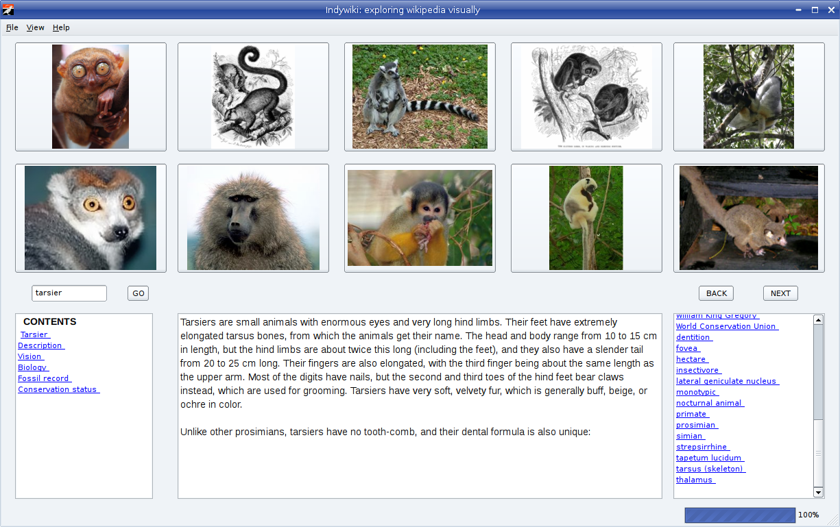 Visual browser